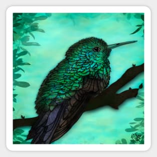Coloured Hummingbird Sticker